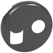 067939