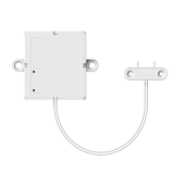 WS-1